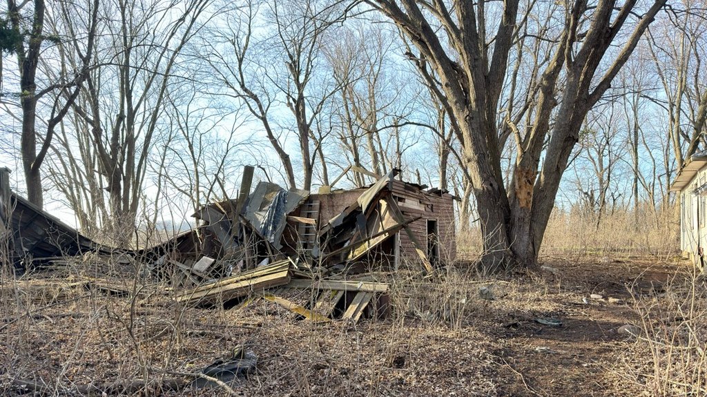 Picture 2