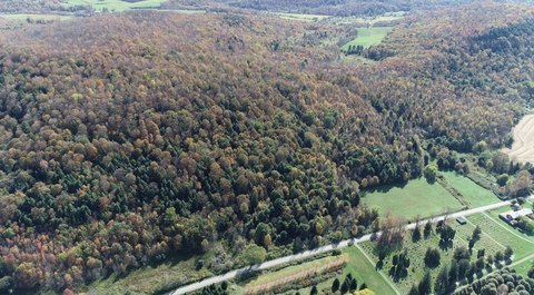 Recreational Hunting Land with Road Frontage
