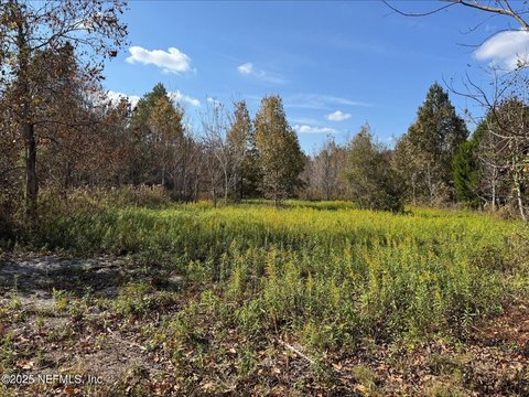 5-Acre Wooded Land in Starke