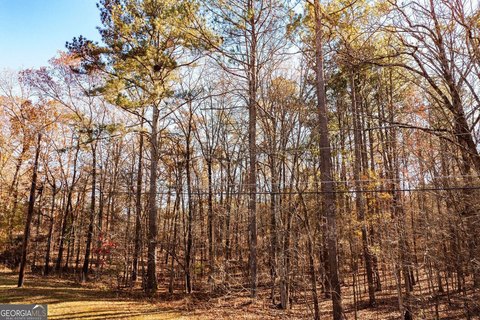 Land, Rome, GA