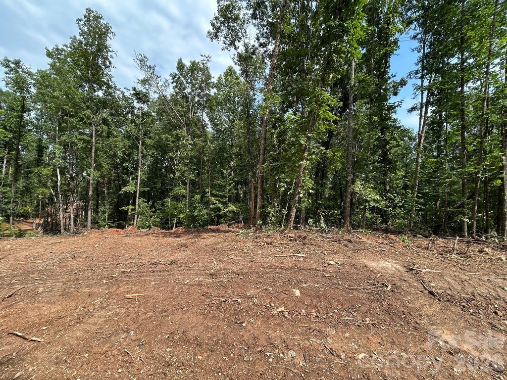 Picture 19