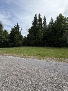 LAND - Lumberton, MS