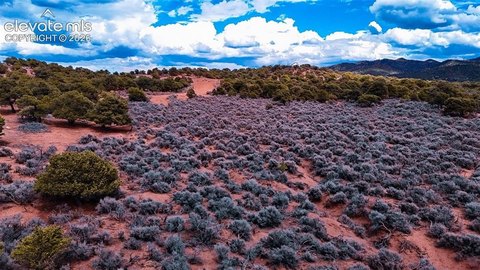 Land, Fort Garland, CO