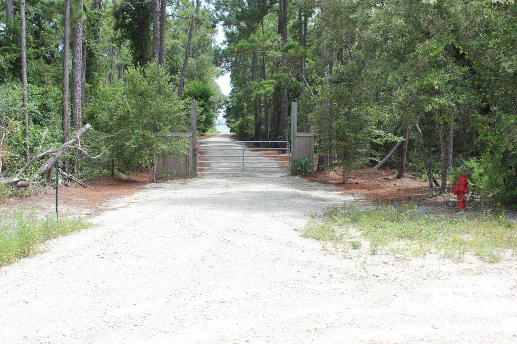 Picture 23