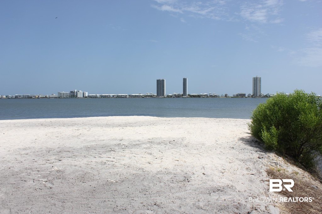 Picture 47