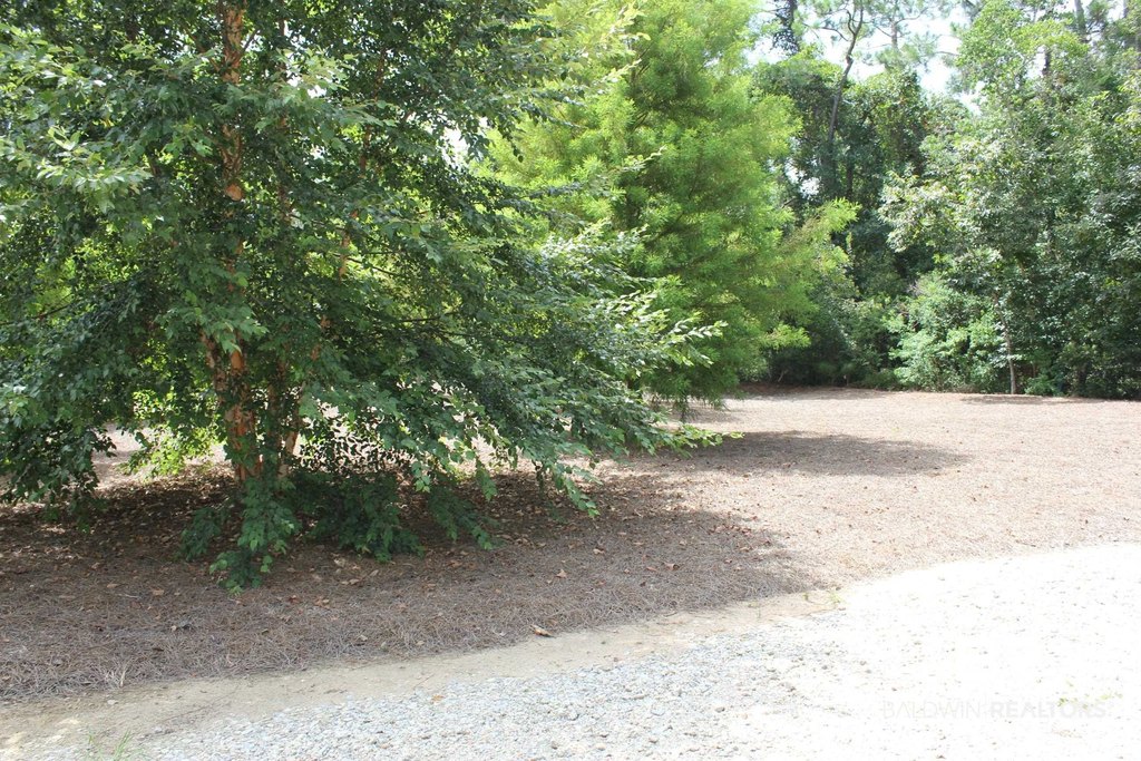 Picture 31