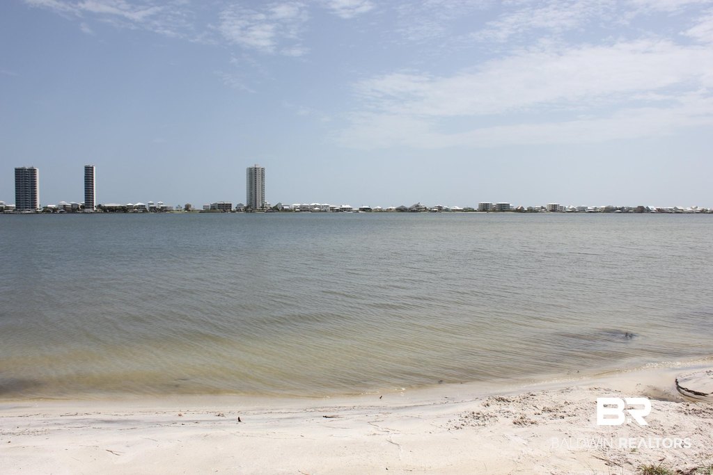 Picture 50