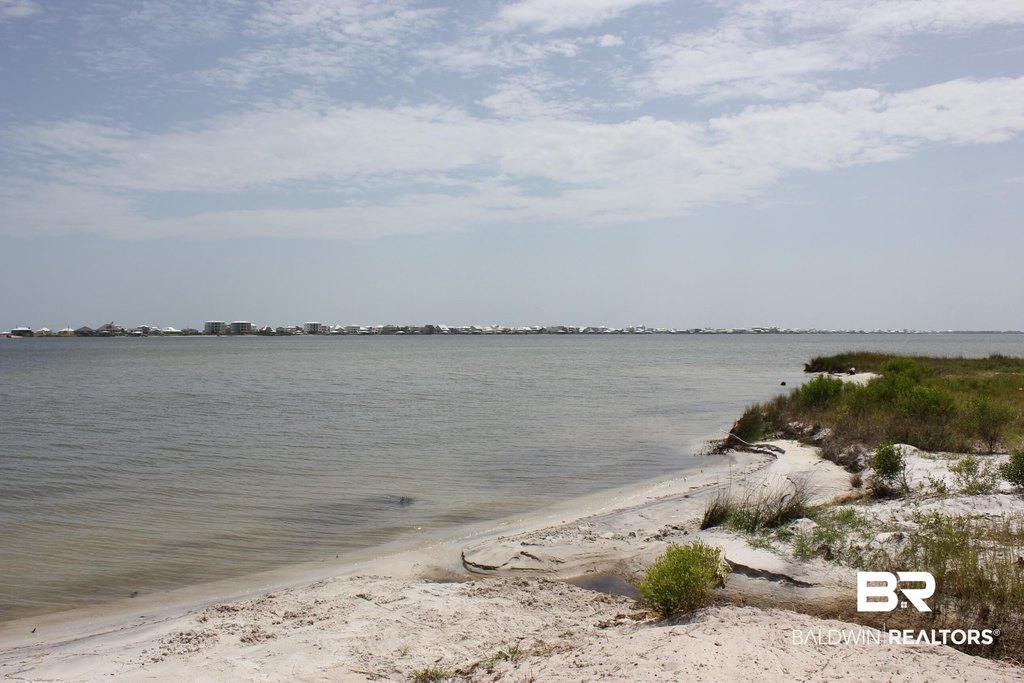Picture 51