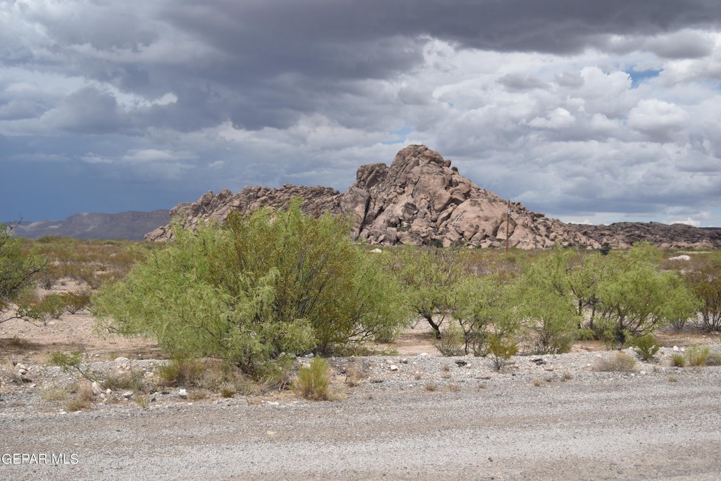 Picture 25
