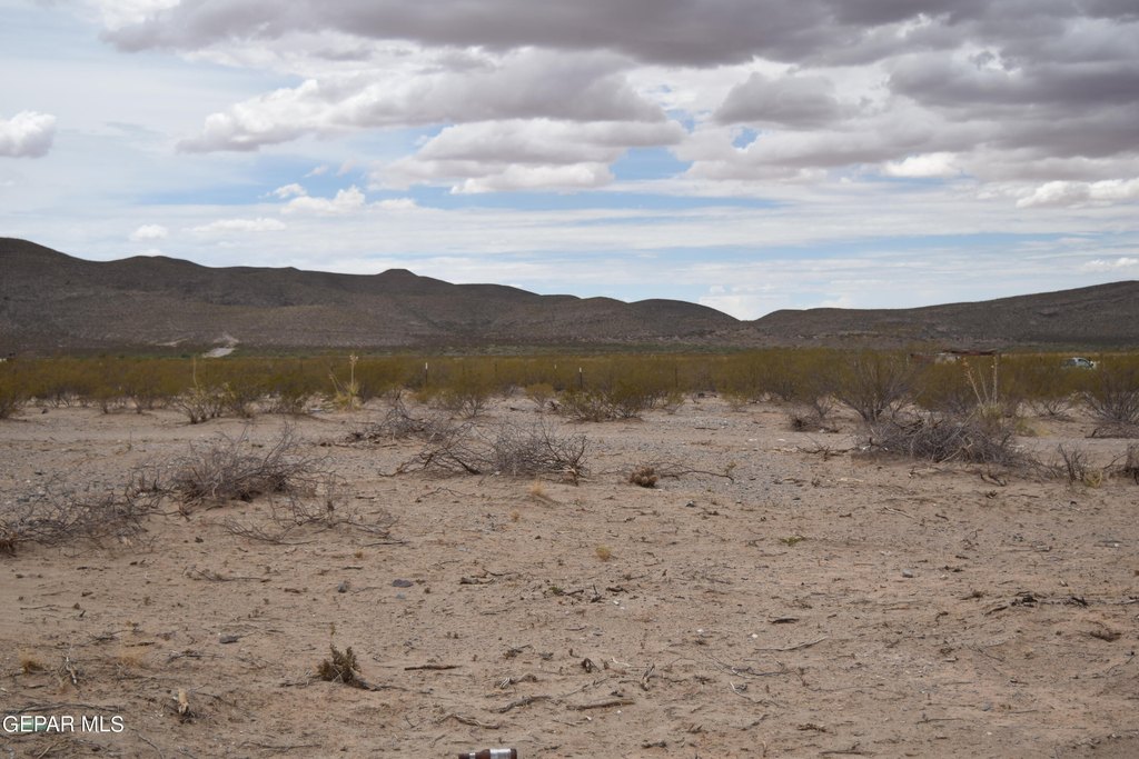 Picture 8