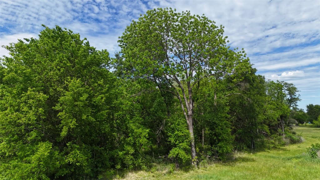 Picture 7