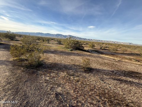 Spacious Buildable Land in Lancaster
