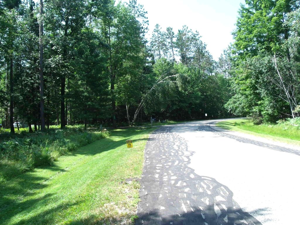 Picture 4