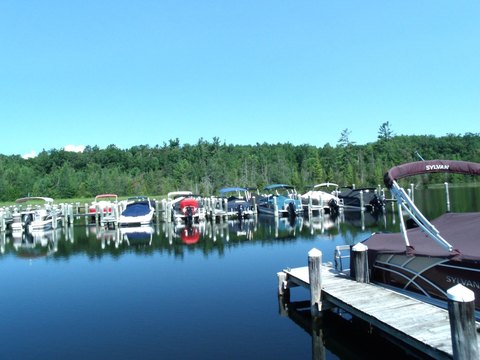 LAND - Indian River, MI
