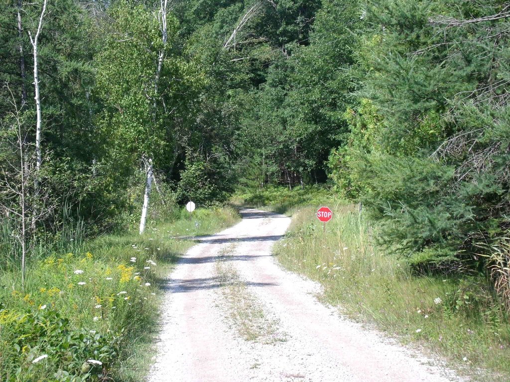 Picture 57