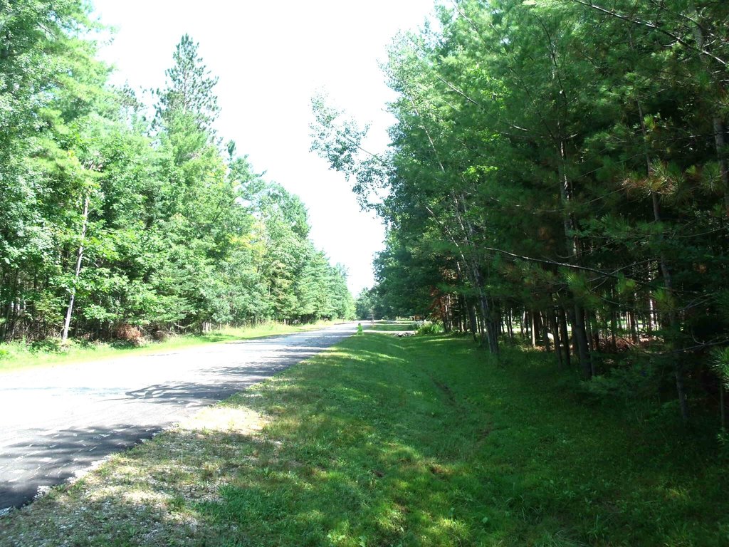 Picture 2