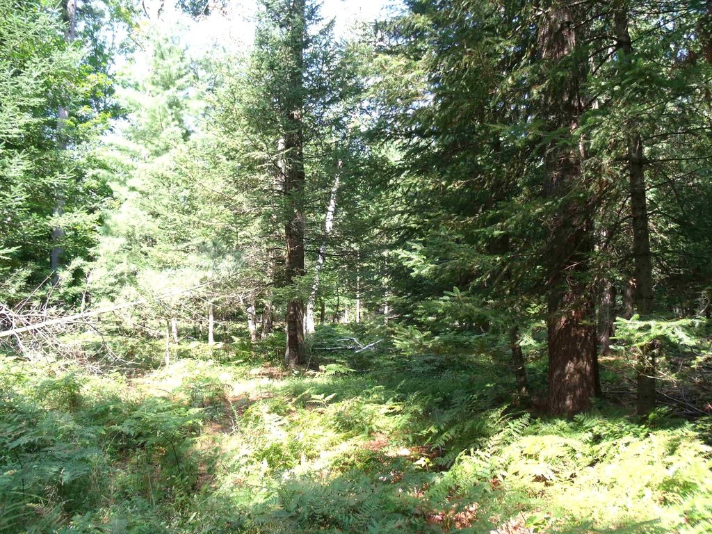 Picture 40