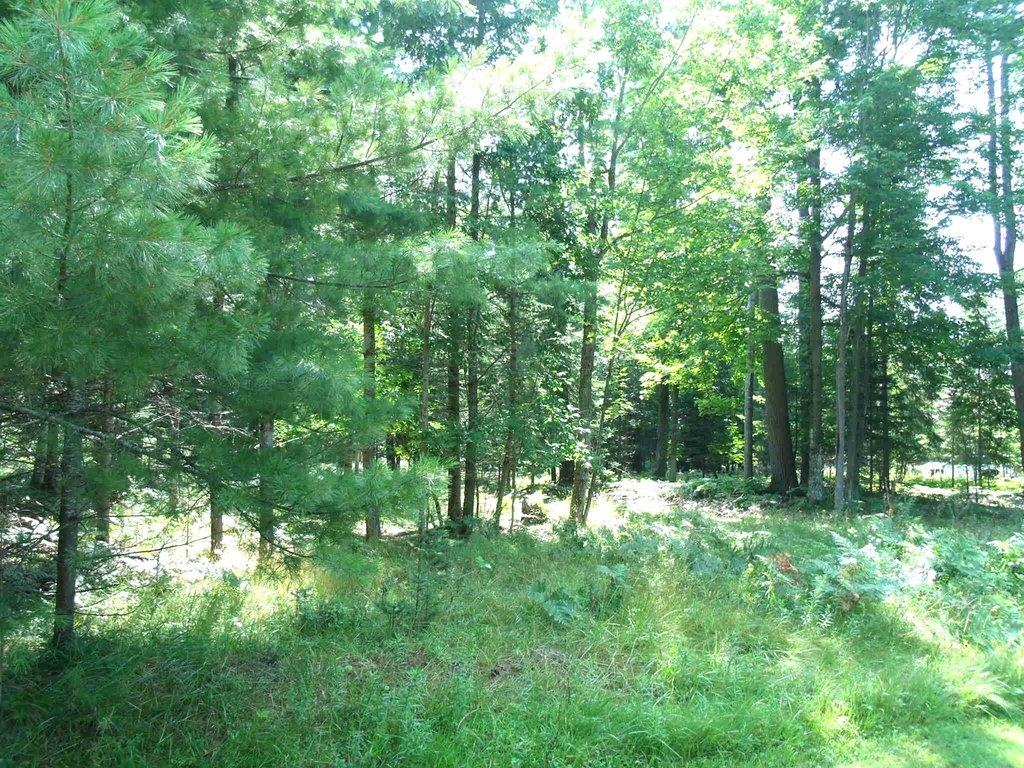 Picture 32