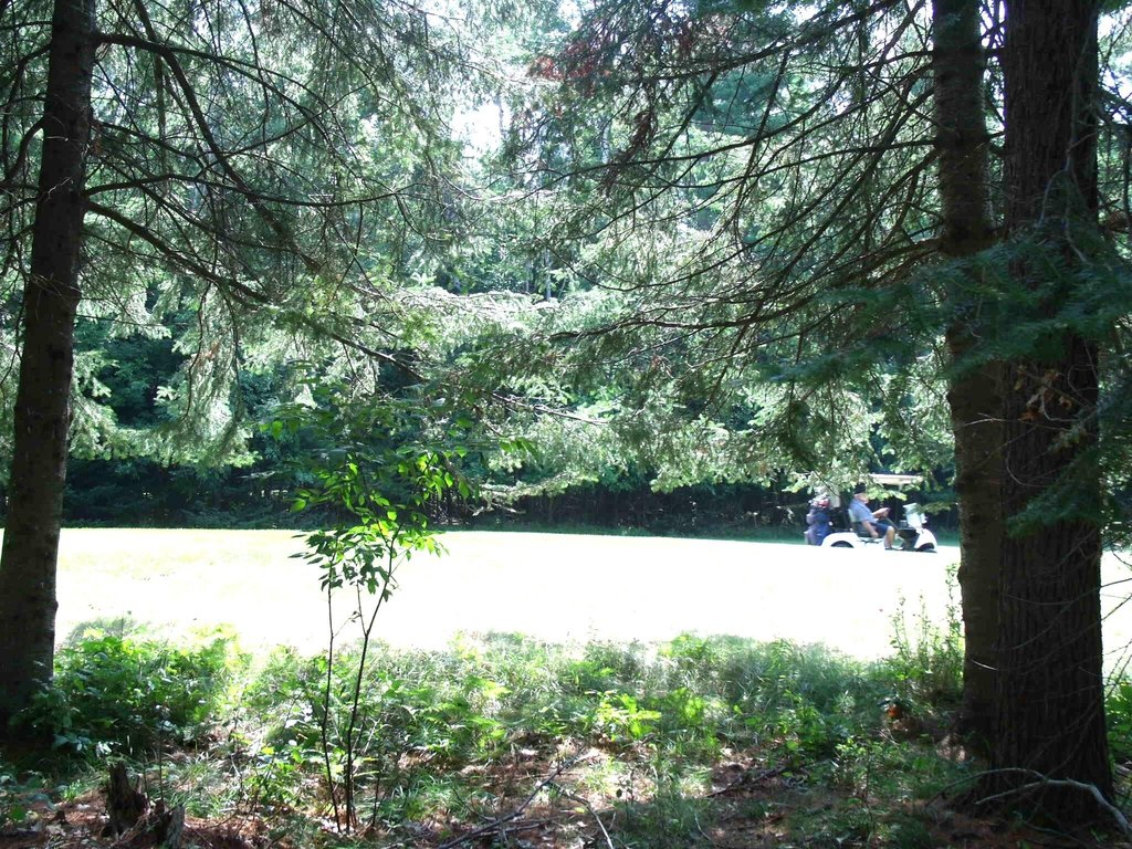 Picture 46