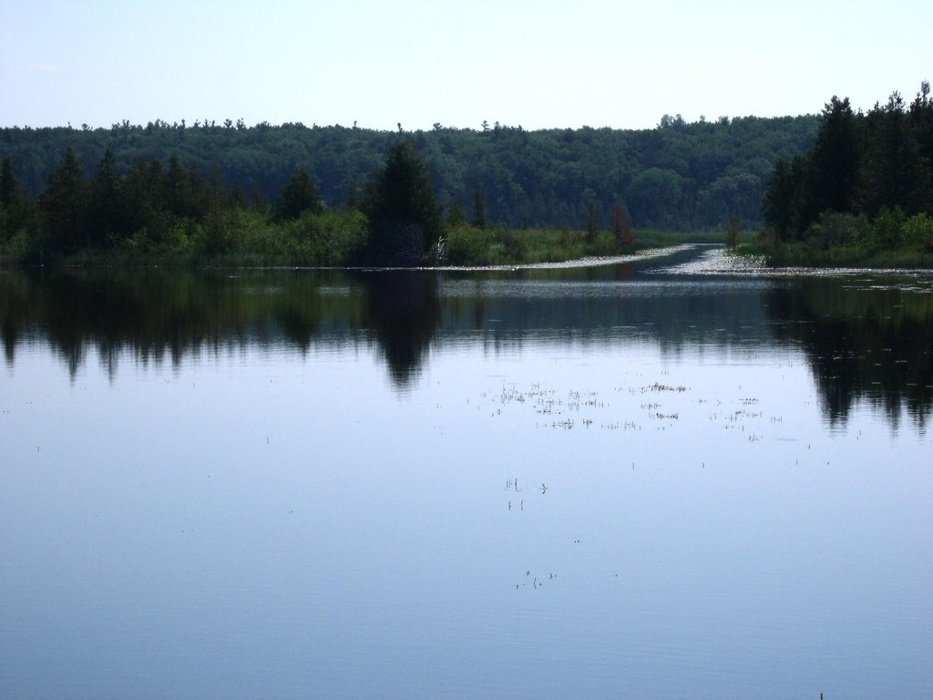 Picture 10