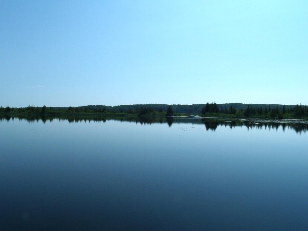 Picture 26
