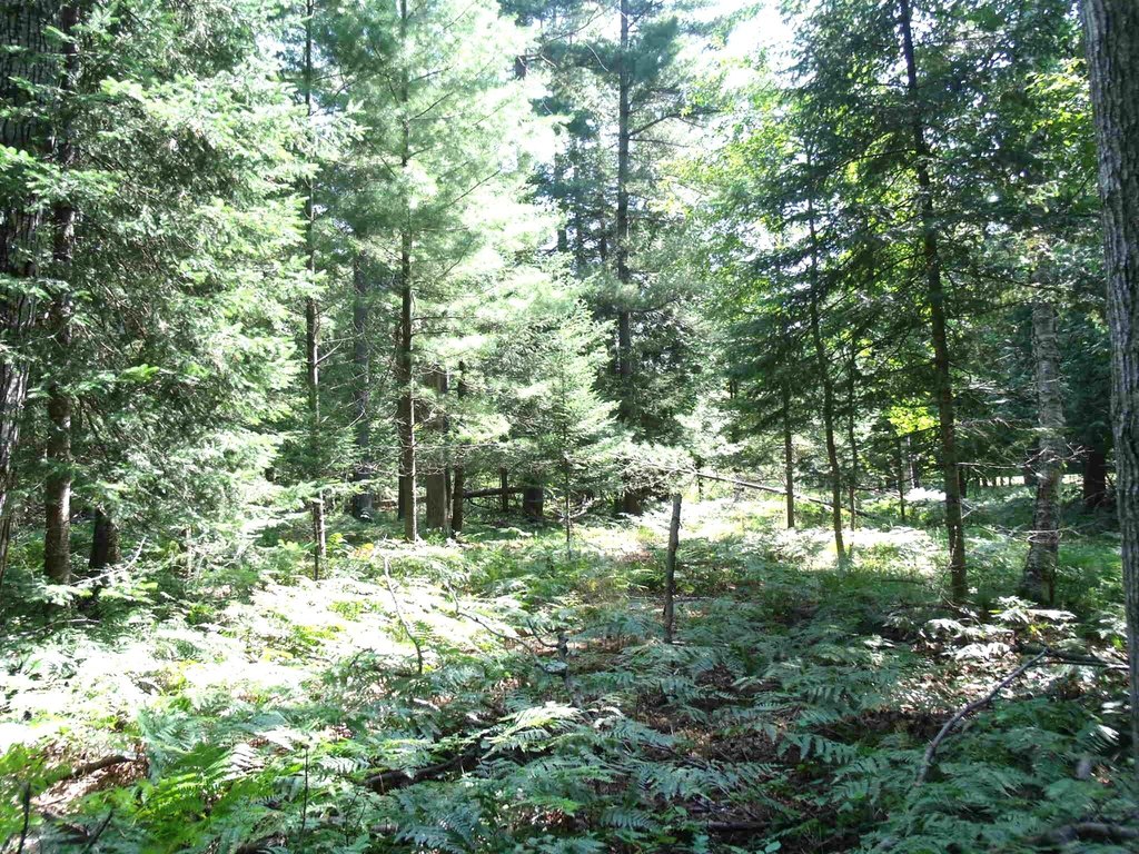 Picture 36
