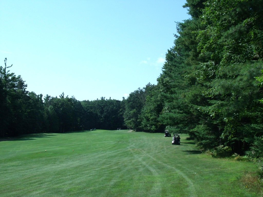 Picture 47