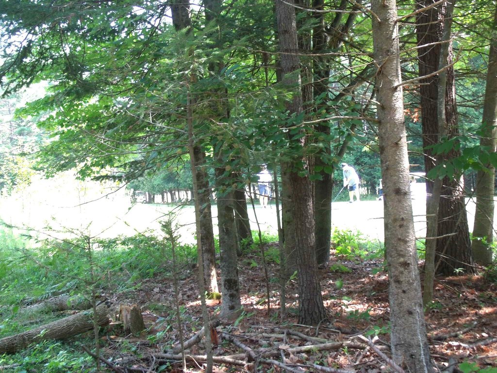 Picture 43