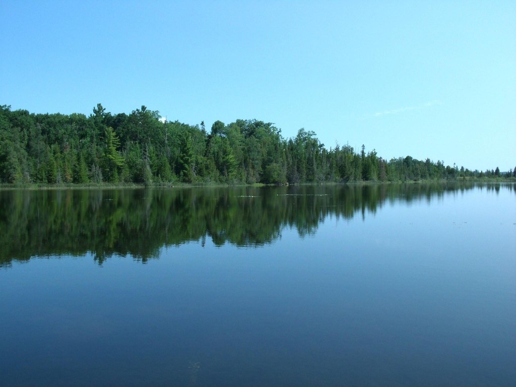 Picture 12