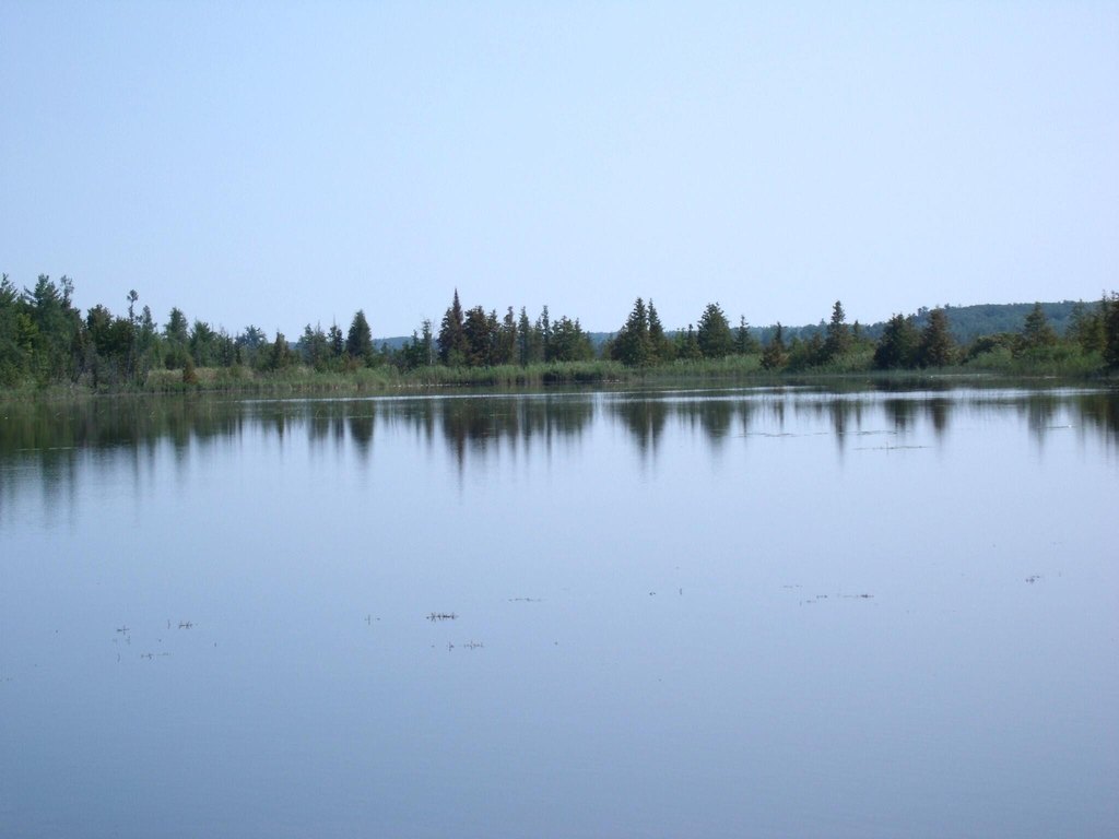 Picture 11