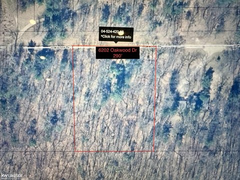 VACANT LAND, Caseville, MI