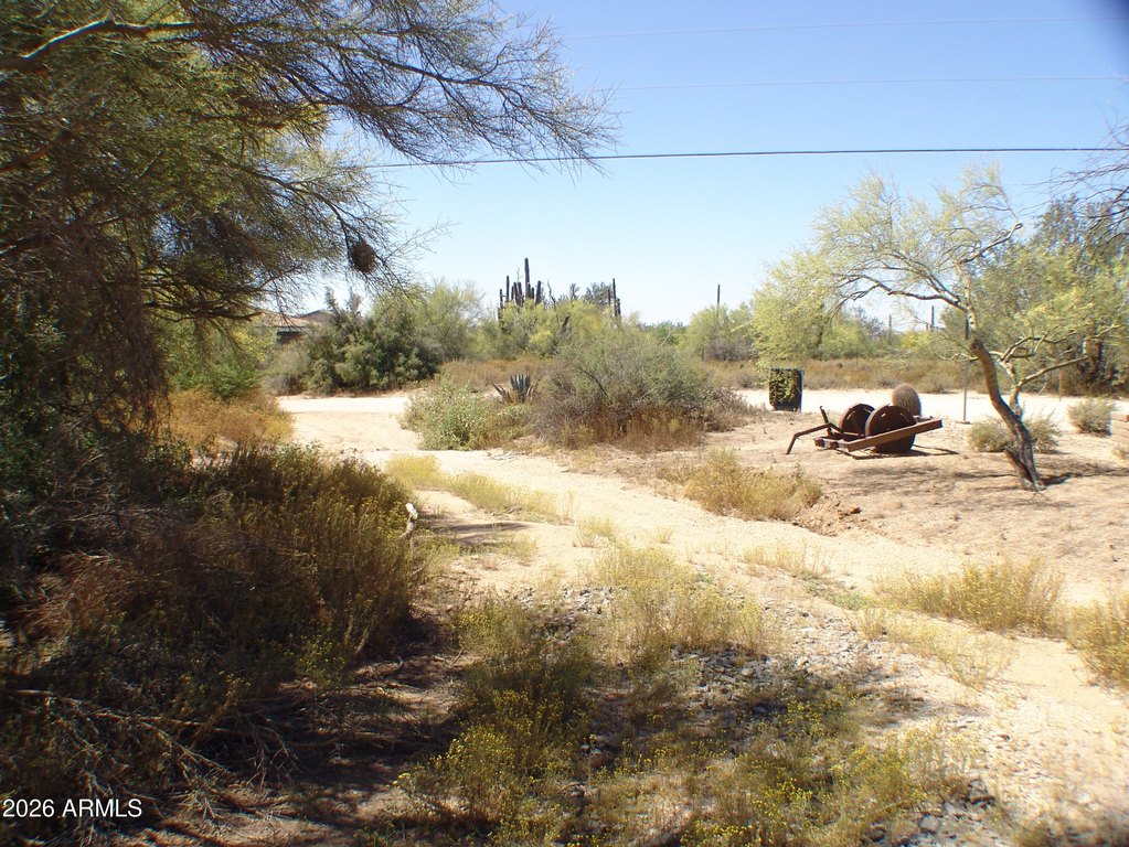 Picture 17