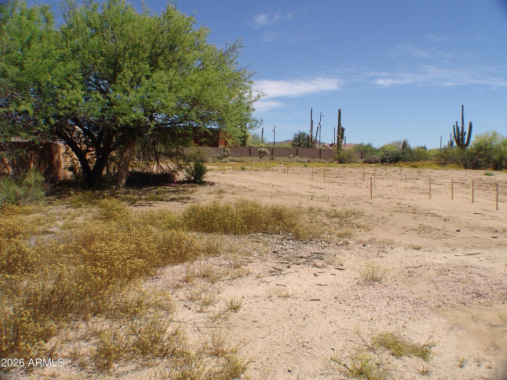 Picture 15