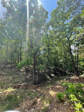 LAND - Broken Bow, OK