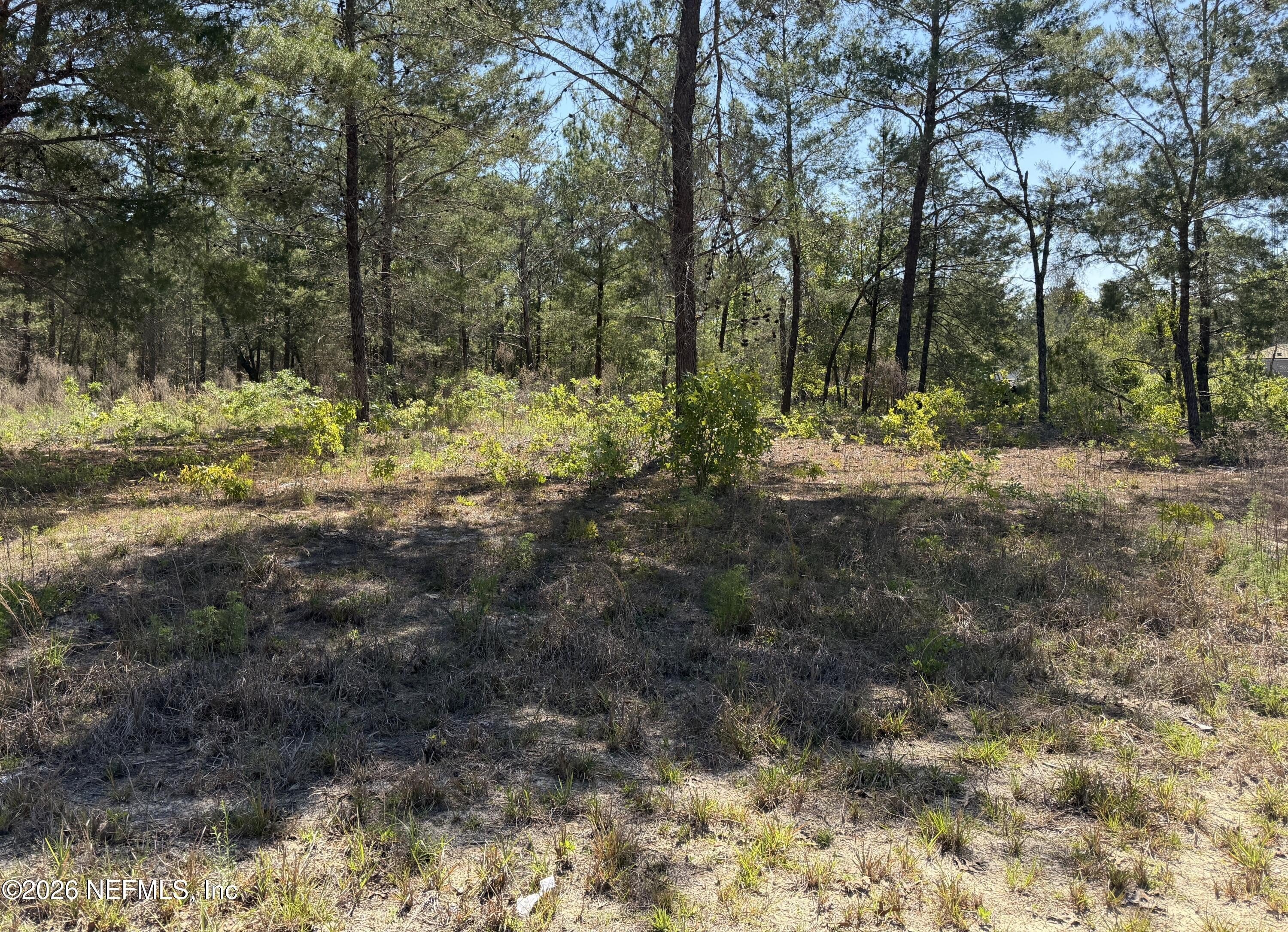Keystone Heights Land Parcel