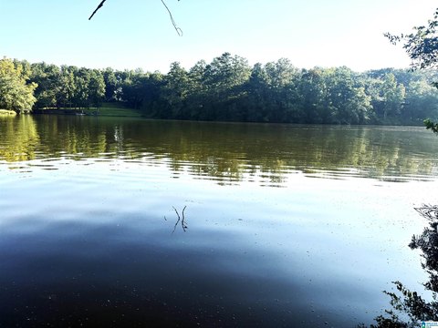 LAND/LOTS, WEDOWEE, AL