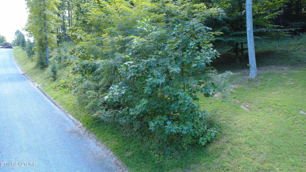 Picture 8