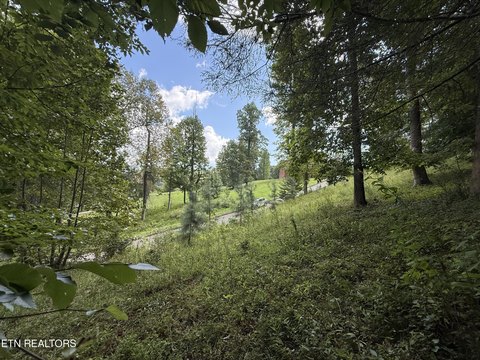 Lots & Acreage, Caryville, TN