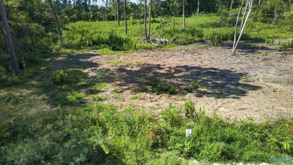 Picture 2