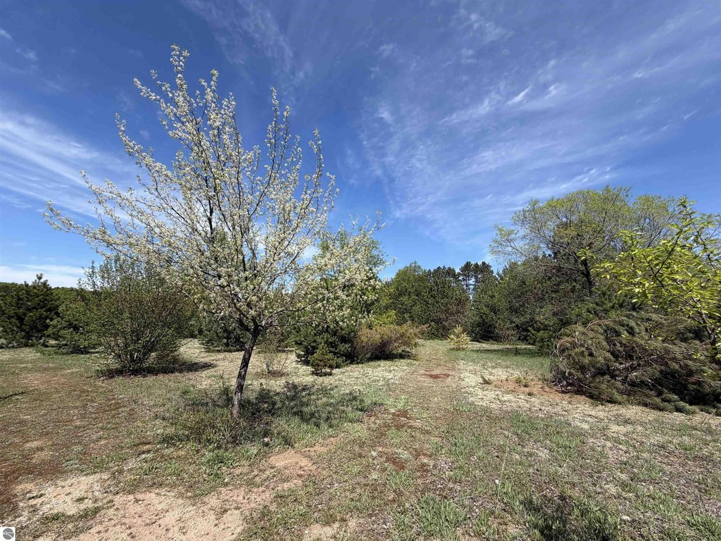 Picture 14