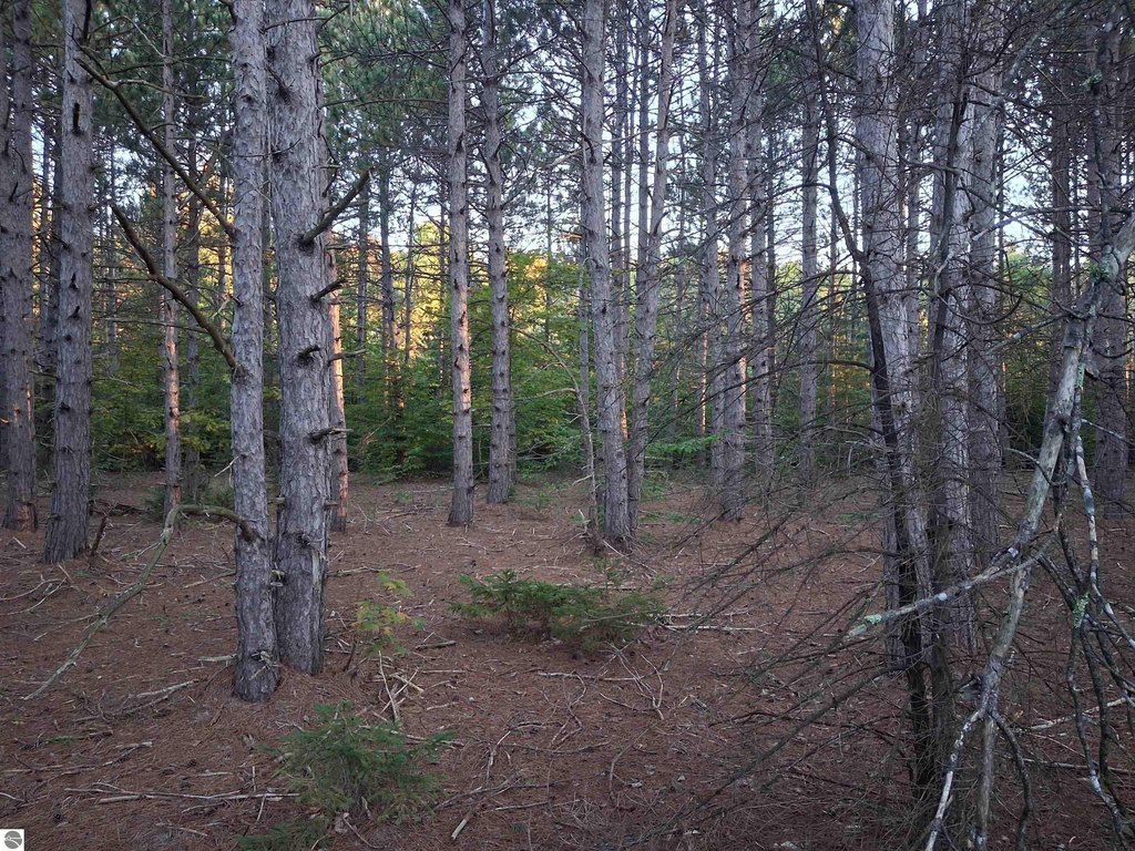 Picture 8