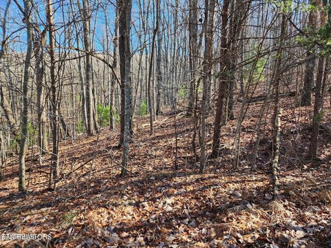Fairfield Glade Land Opportunity