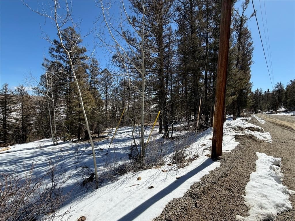 Picture 6