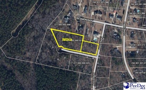 LAND - Cheraw, SC