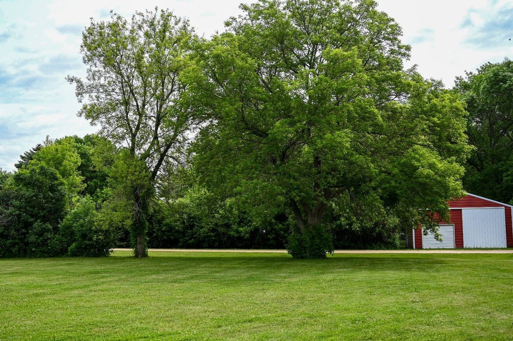 Picture 19