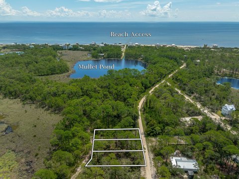 Land, Alligator Point, FL
