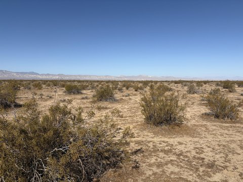 Agricultural Land Parcel for Sale
