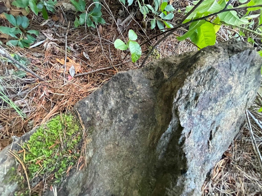 Picture 23