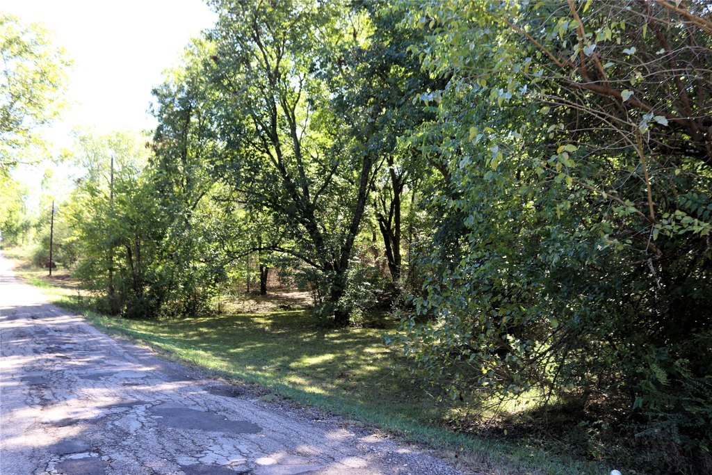 Picture 8