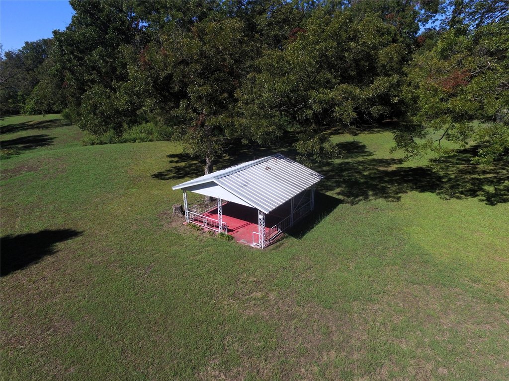 Picture 14
